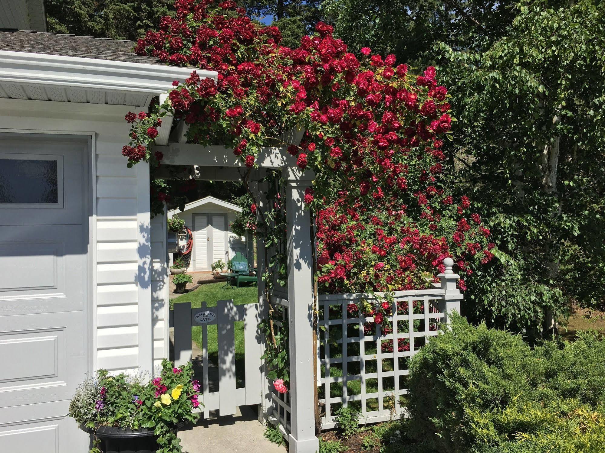 Alexandria House Bed & Breakfast West Kelowna Exterior photo